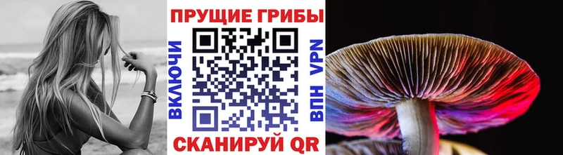 Галлюциногенные грибы Psilocybine cubensis  магазин продажи наркотиков  гидра онион  Жуковка 